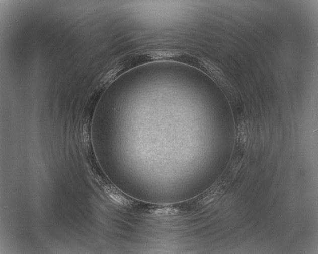 X0000058120426200509231057