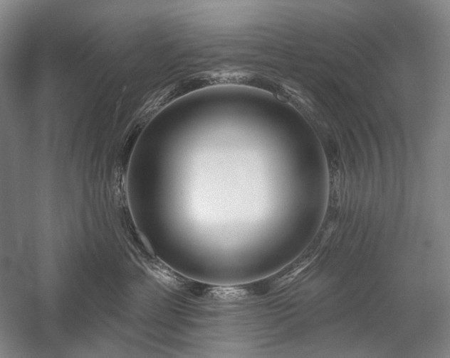 X0000058120429200509231057