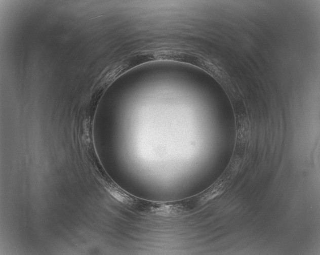 X0000058120430200509231057