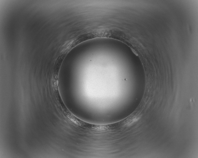 X0000058120432200509231057