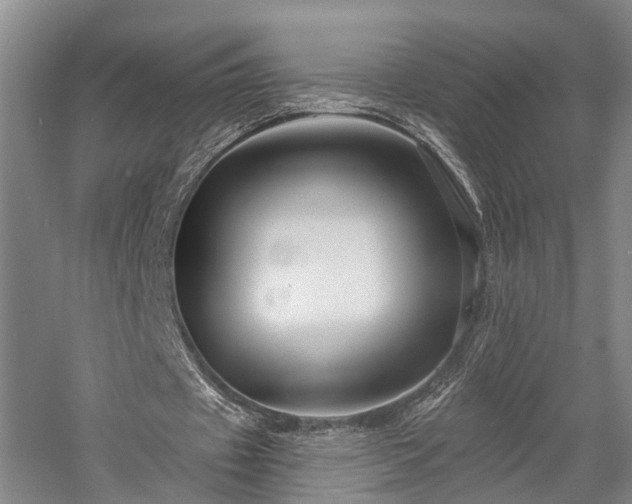 X0000058120433200509231056