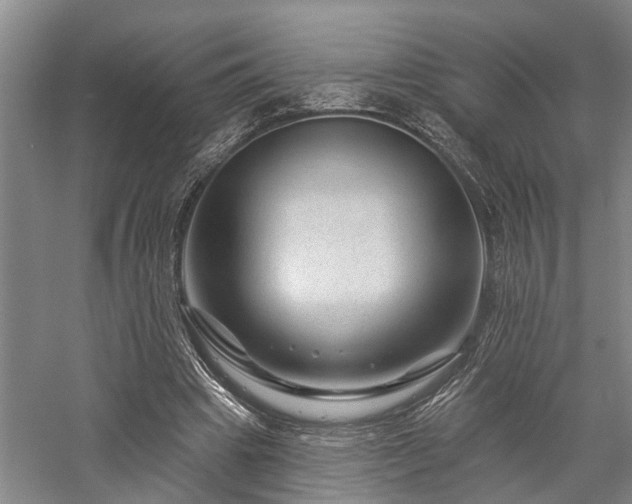 X0000058120441200509231056