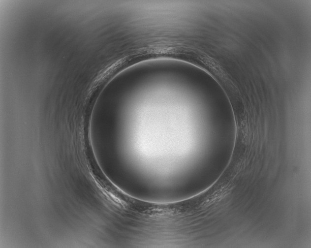 X0000058120442200509231056
