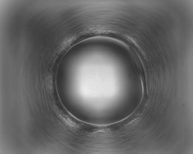 X0000058120447200509231056