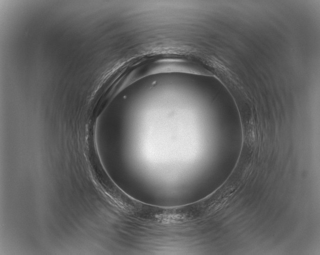 X0000058120448200509231057