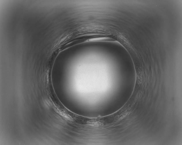 X0000058120454200509231057
