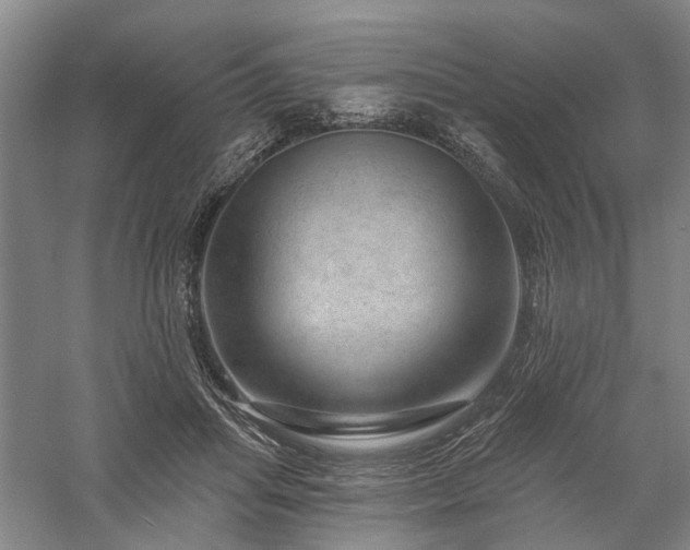 X0000058120455200509231057