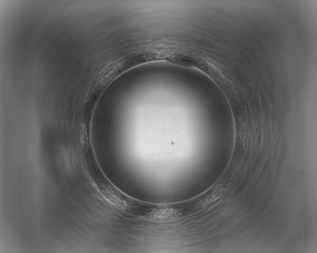 X0000058120459200509231057