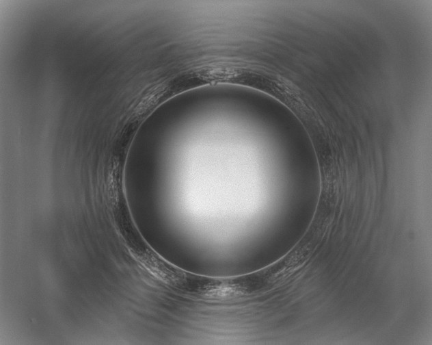 X0000058120460200509231057