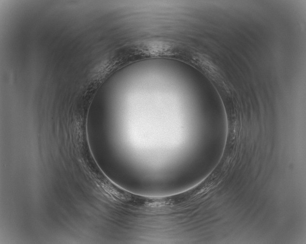 X0000058120461200509231057