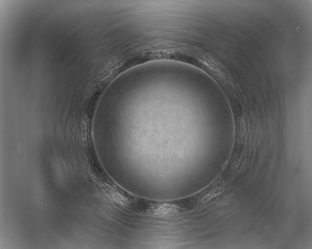 X0000058120463200509231057