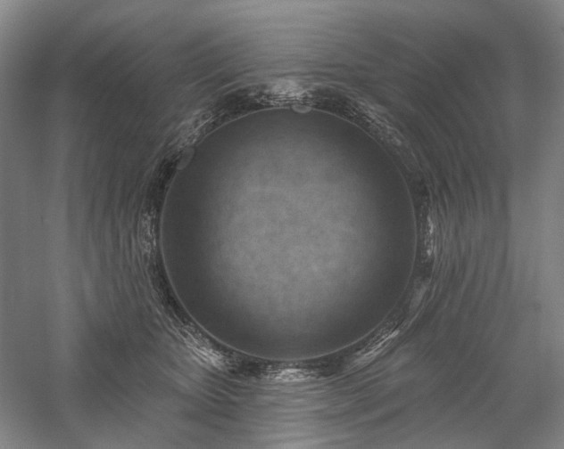 X0000058120467200509231057