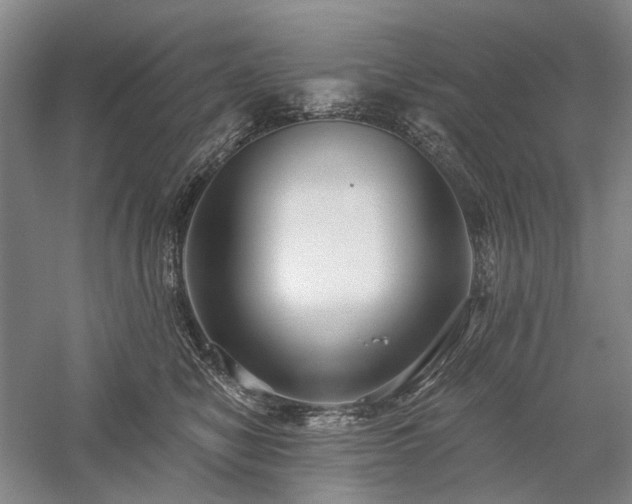 X0000058120470200509231057