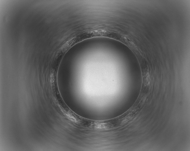 X0000058120472200509231057
