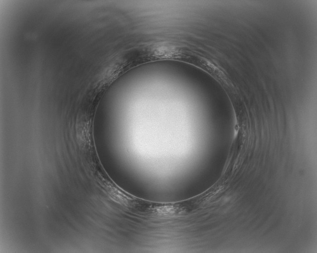 X0000058120473200509231057
