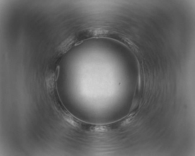 X0000058120475200509231057