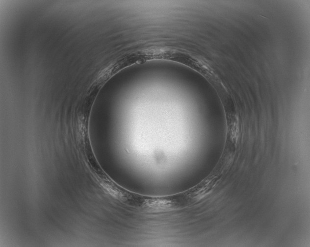 X0000058120476200509231057