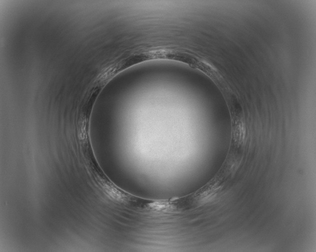 X0000058120477200509231057