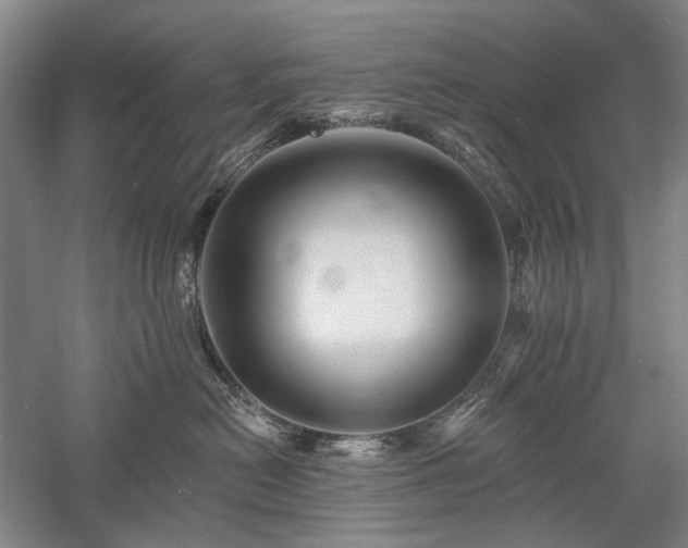 X0000058120478200509231057