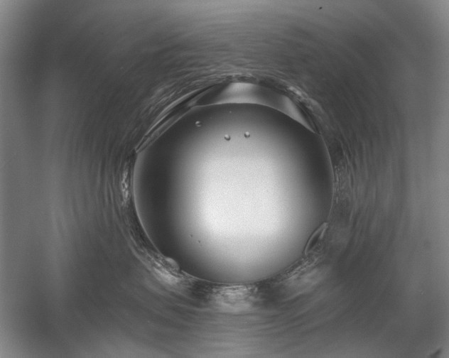 X0000058120479200509231057