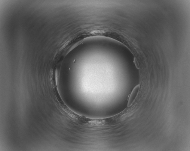 X0000058120480200509231057