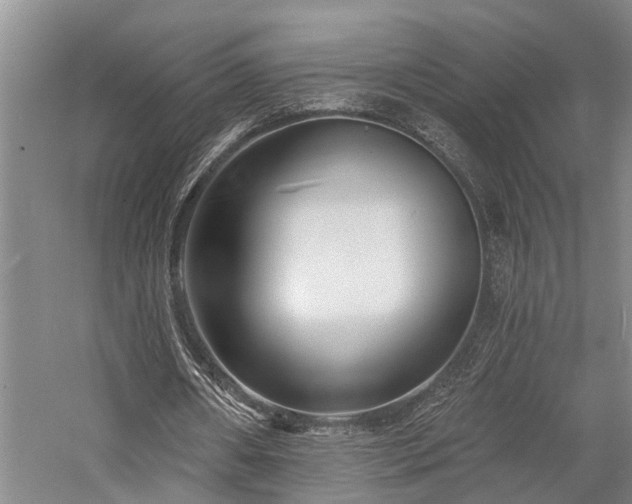 X0000058120482200509231056