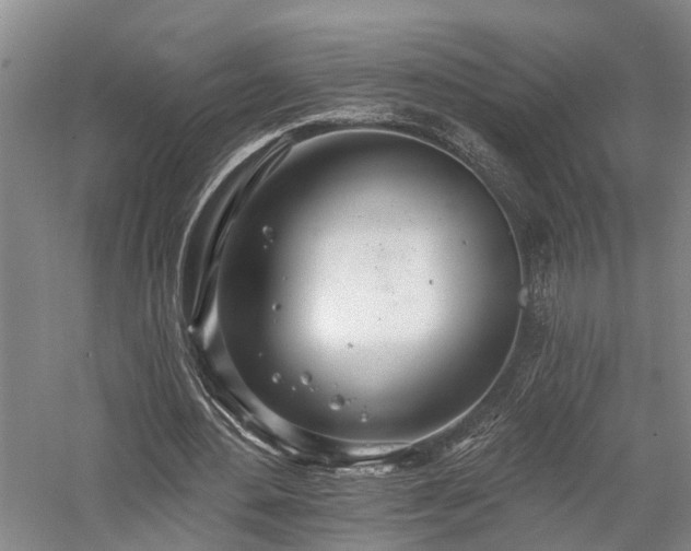 X0000058120484200509231056
