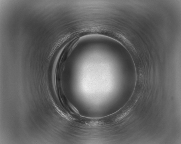 X0000058120493200509231056