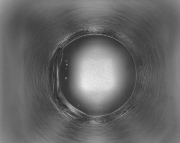 X0000058120496200509231056