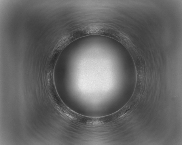 X0000058120503200509231056