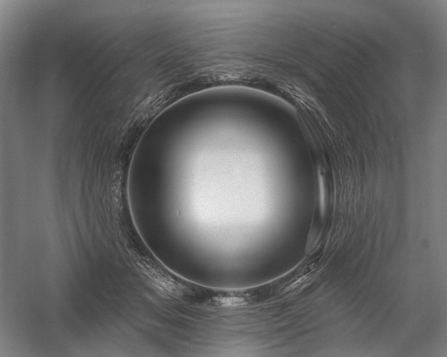 X0000058120509200509231056