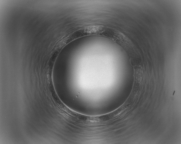 X0000058120510200509231056