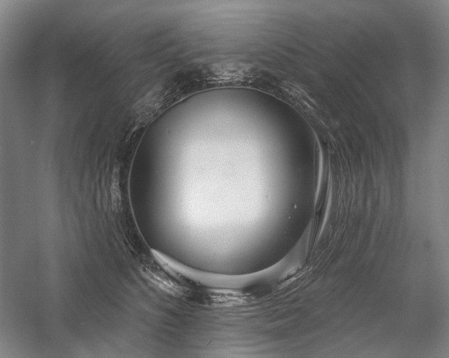 X0000058120516200509231056
