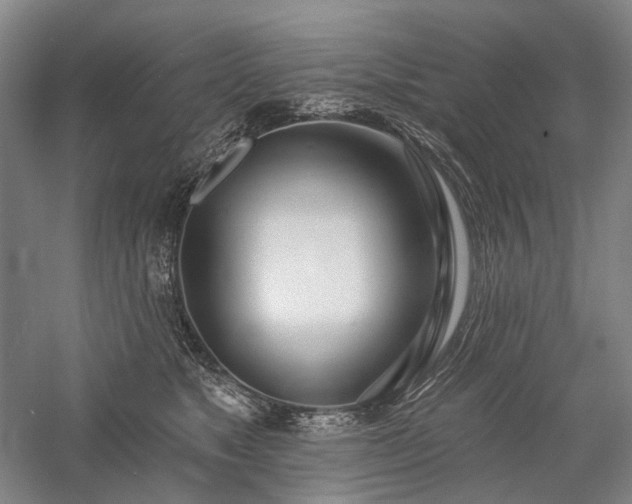 X0000058120517200509231056