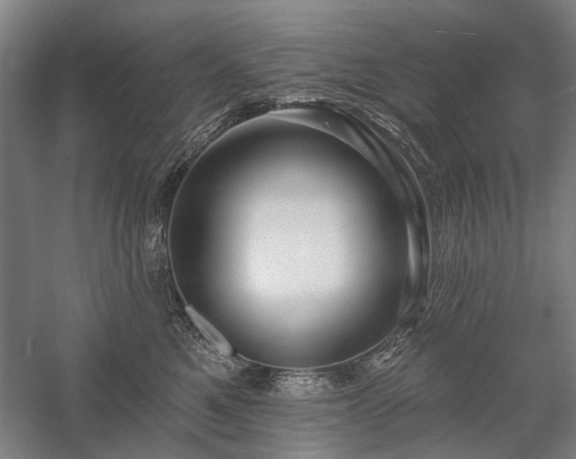 X0000058120521200509231056