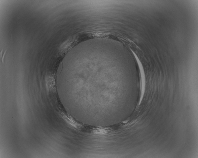 X0000058120523200509231056