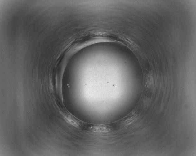 X0000058120524200509231056