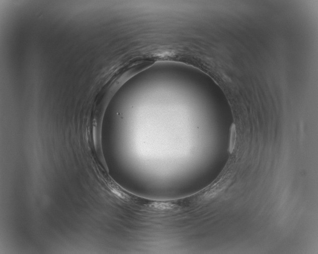 X0000058120528200509231055
