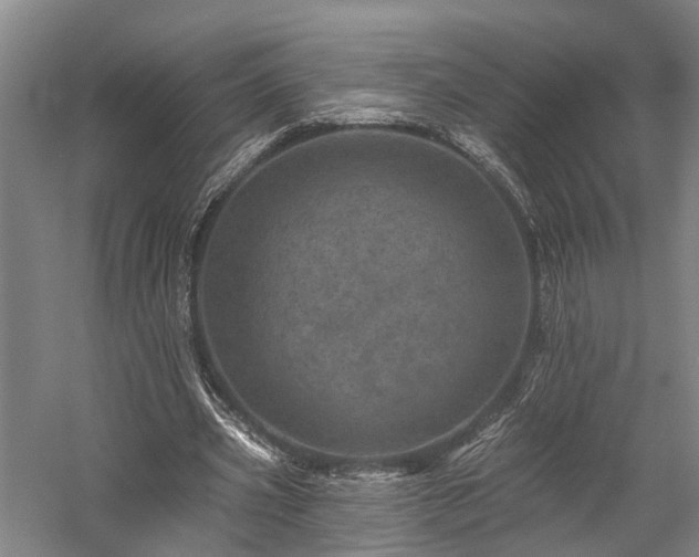 X0000058120533200509231055
