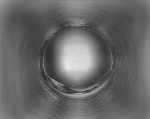 X0000058120539200509231055