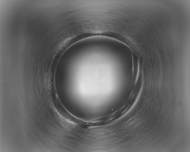 X0000058120540200509231055