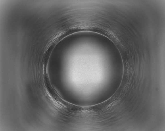 X0000058120542200509231055
