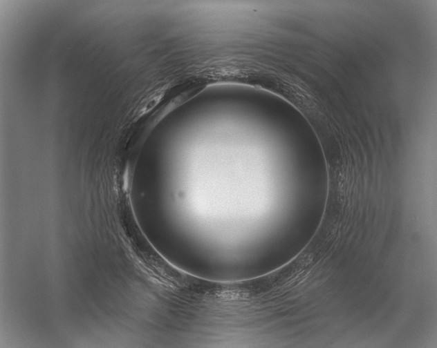 X0000058120546200509231055