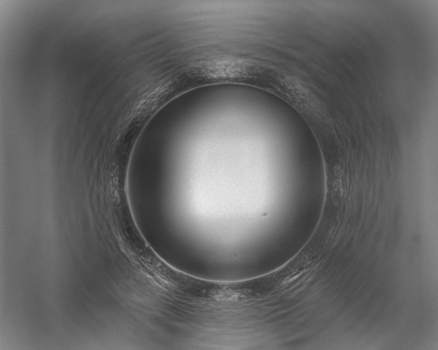 X0000058120547200509231055