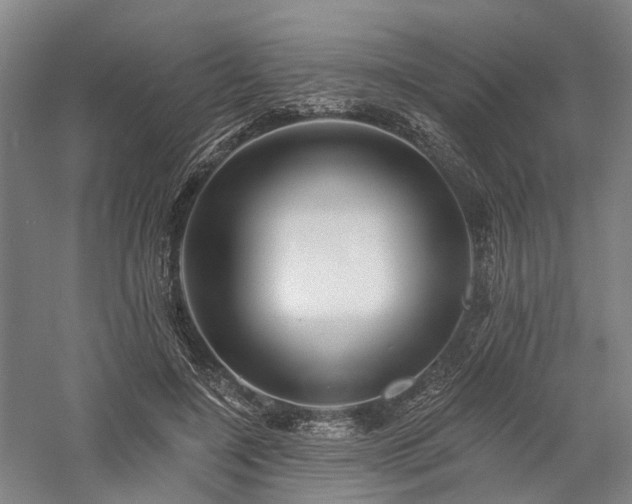 X0000058120548200509231055