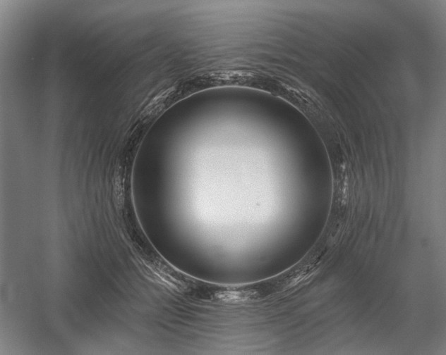 X0000058120558200509231055