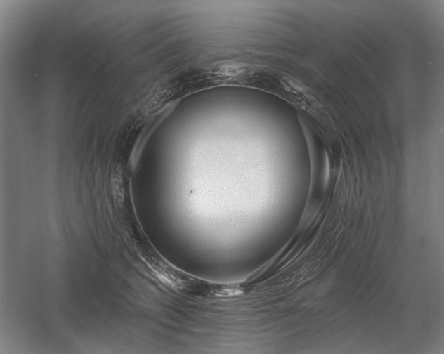 X0000058120562200509231055