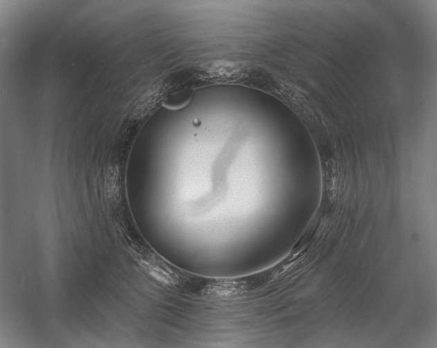 X0000058120563200509231055