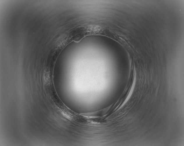 X0000058120564200509231055