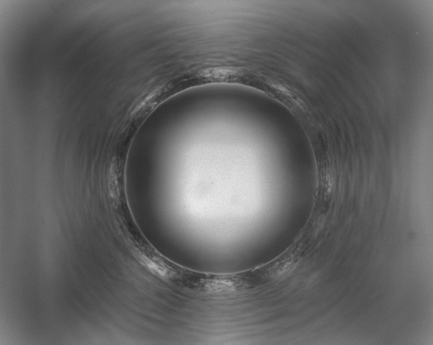 X0000058120572200509231055